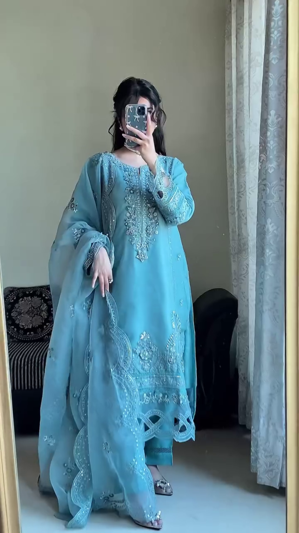 Elegant Blue Embroidered Dress with Delicate Details Perfect for Special Occasions