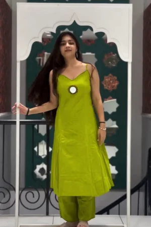 Festive Wear Ethnic Dres