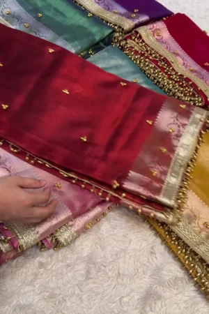 Most vital and Demanding Ghunghroo Saree | Banarsi Tissue Silk, saree